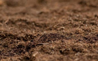 污染粉土中柴油在孔隙中的分布规律研究