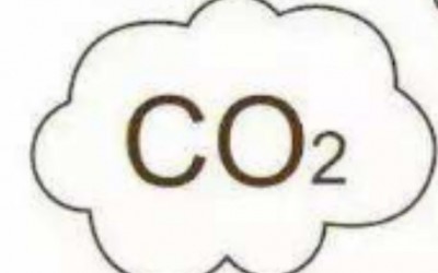 低场核磁法研究甲烷与二氧化碳 氮气竞争吸附